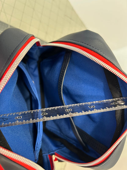 Patriotic Bartleby crossbody bag